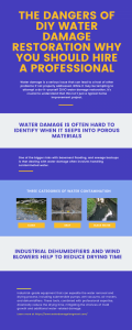 THE DANGERS OF DIY WATER DAMAGE RESTORATION WHY YOU SHOULD HIRE A PROFESSIONAL